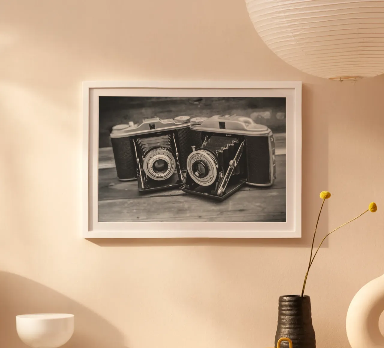 Two folding cameras poster da Dave Hare Photography