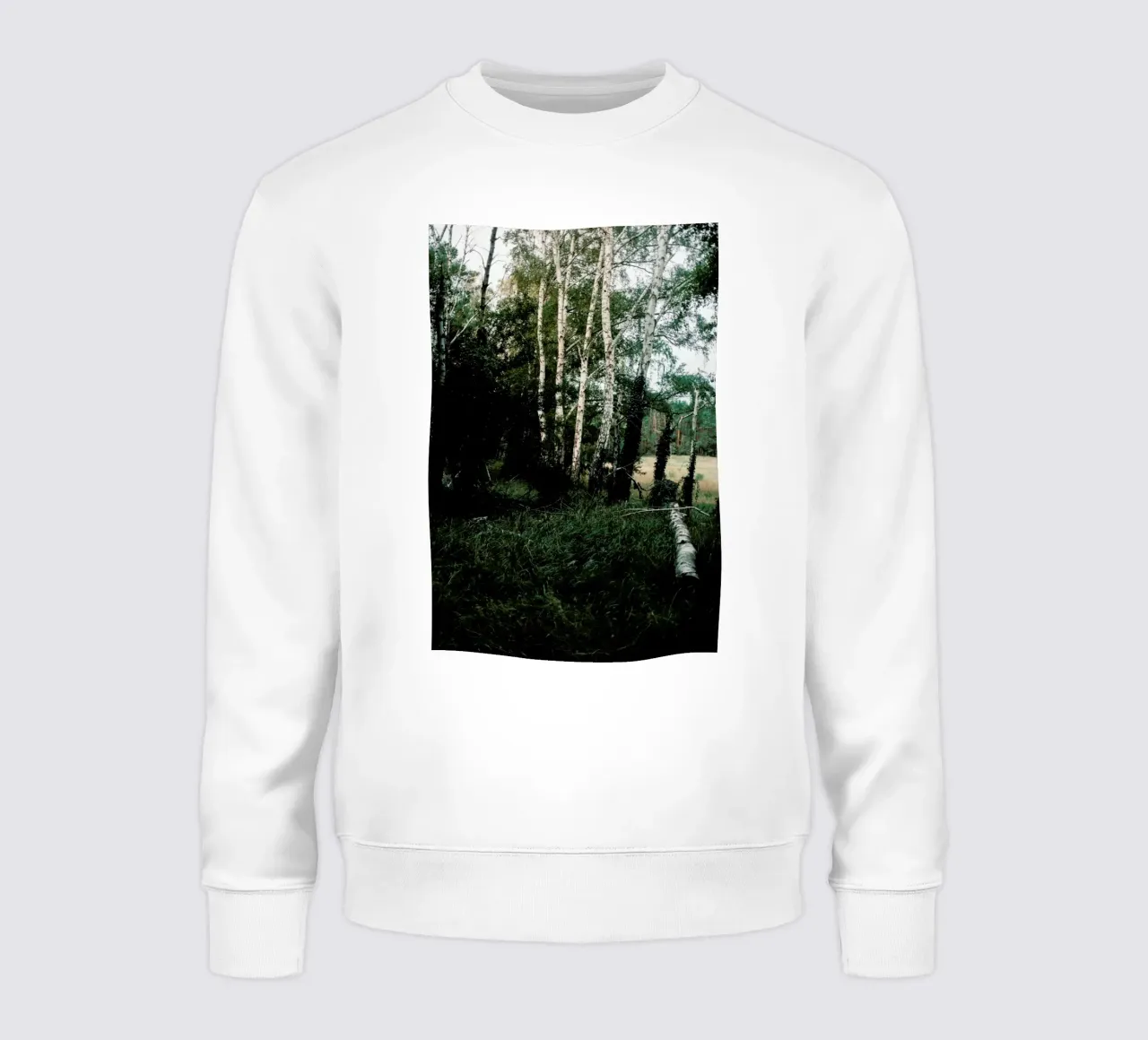 Forest Scene felpa da Sebastian Hilgetag