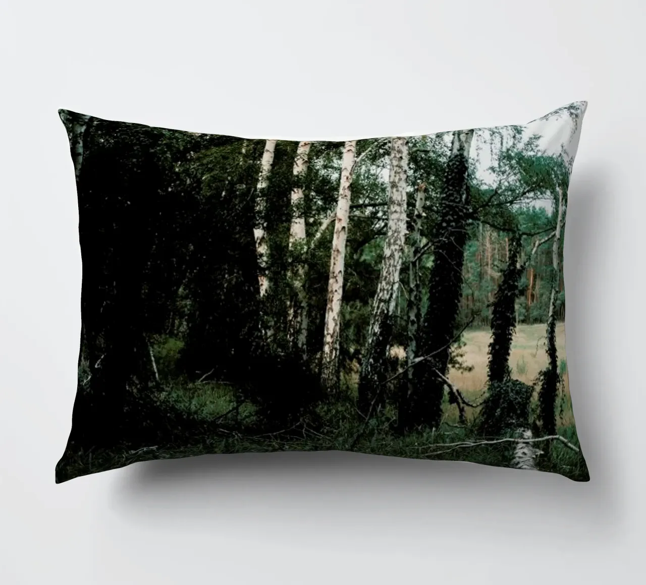 Forest Scene cuscino da Sebastian Hilgetag