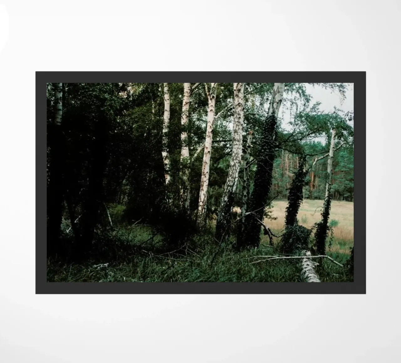 Forest Scene zerbino da Sebastian Hilgetag