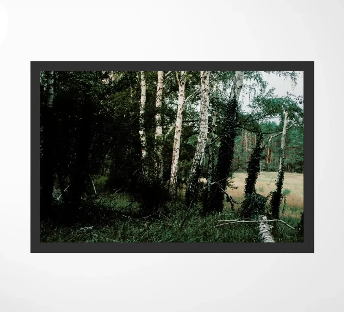 Forest Scene Fußmatte von Sebastian Hilgetag