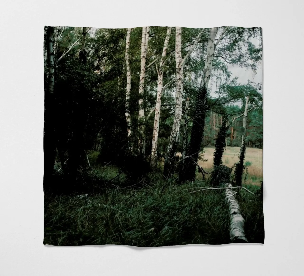 Forest Scene coperta in pile da Sebastian Hilgetag