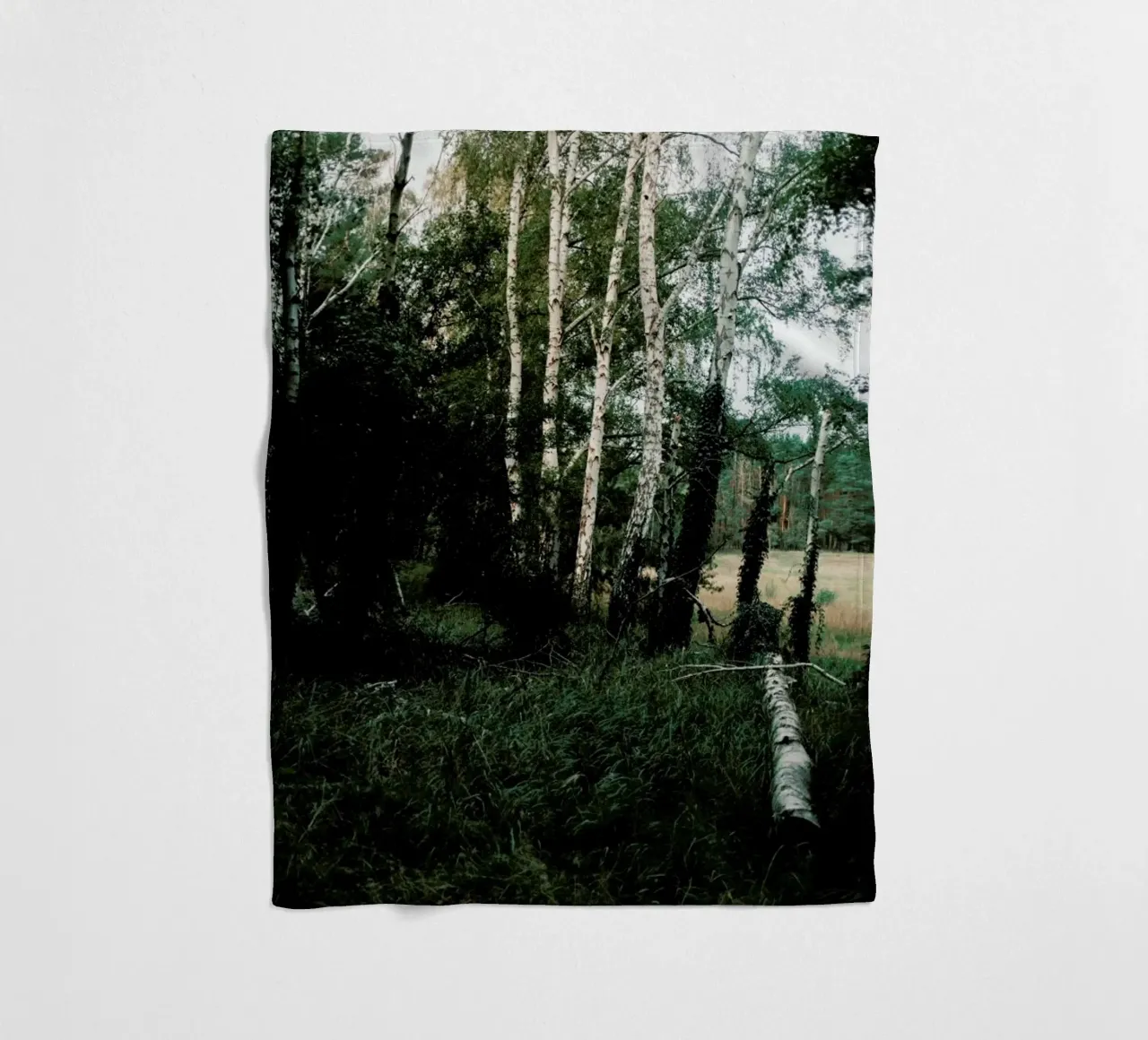 Forest Scene coperta in pile da Sebastian Hilgetag