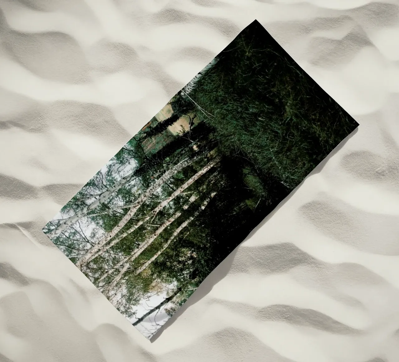 Forest Scene telo mare da Sebastian Hilgetag