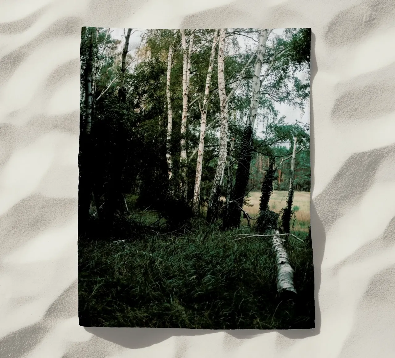 Forest Scene telo mare da Sebastian Hilgetag