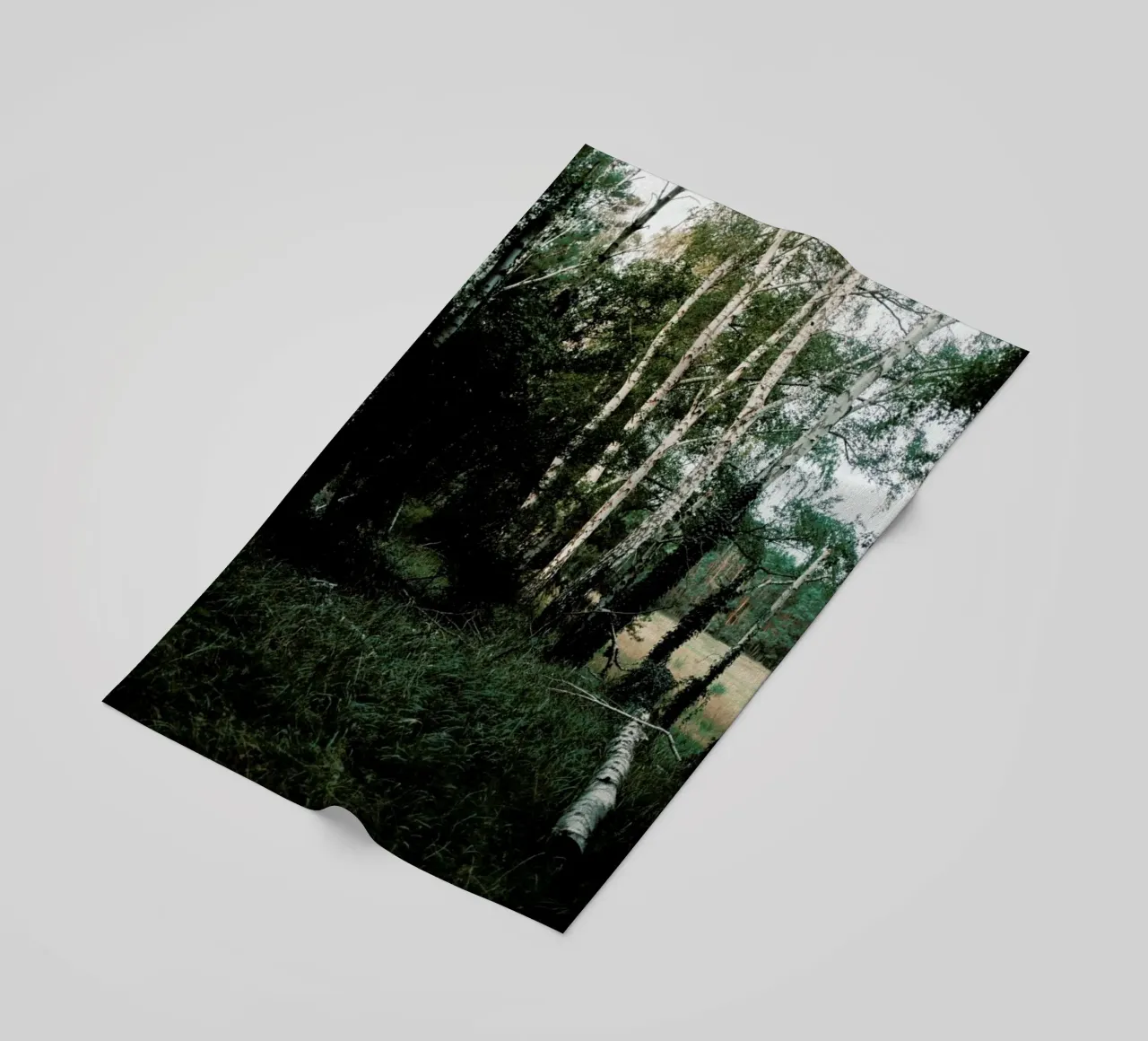 Forest Scene telo mare da Sebastian Hilgetag