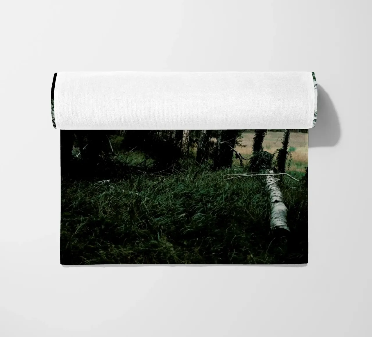 Forest Scene telo mare da Sebastian Hilgetag