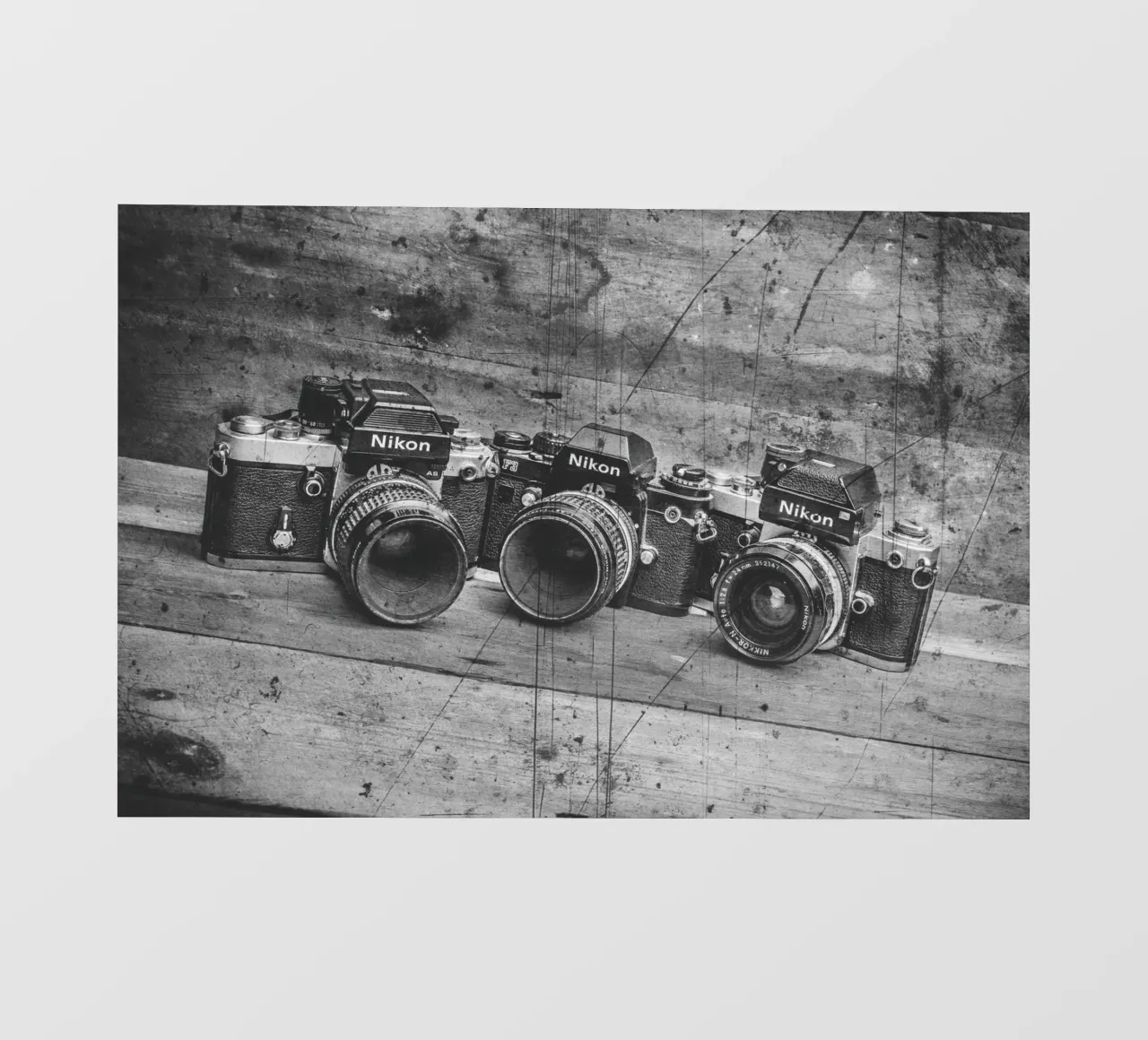 Three Nikon cameras telo in pvc da Dave Hare Photography