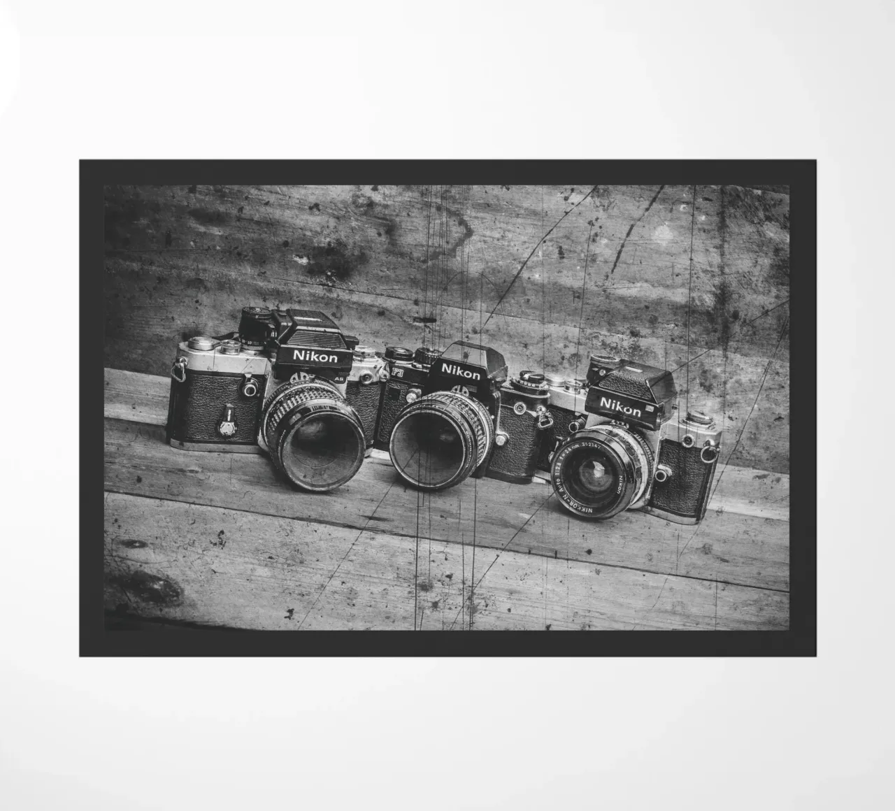 Three Nikon cameras zerbino da Dave Hare Photography