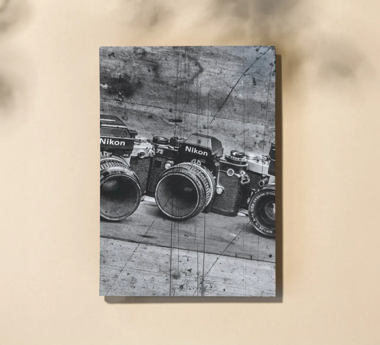 Three Nikon cameras diario da Dave Hare Photography