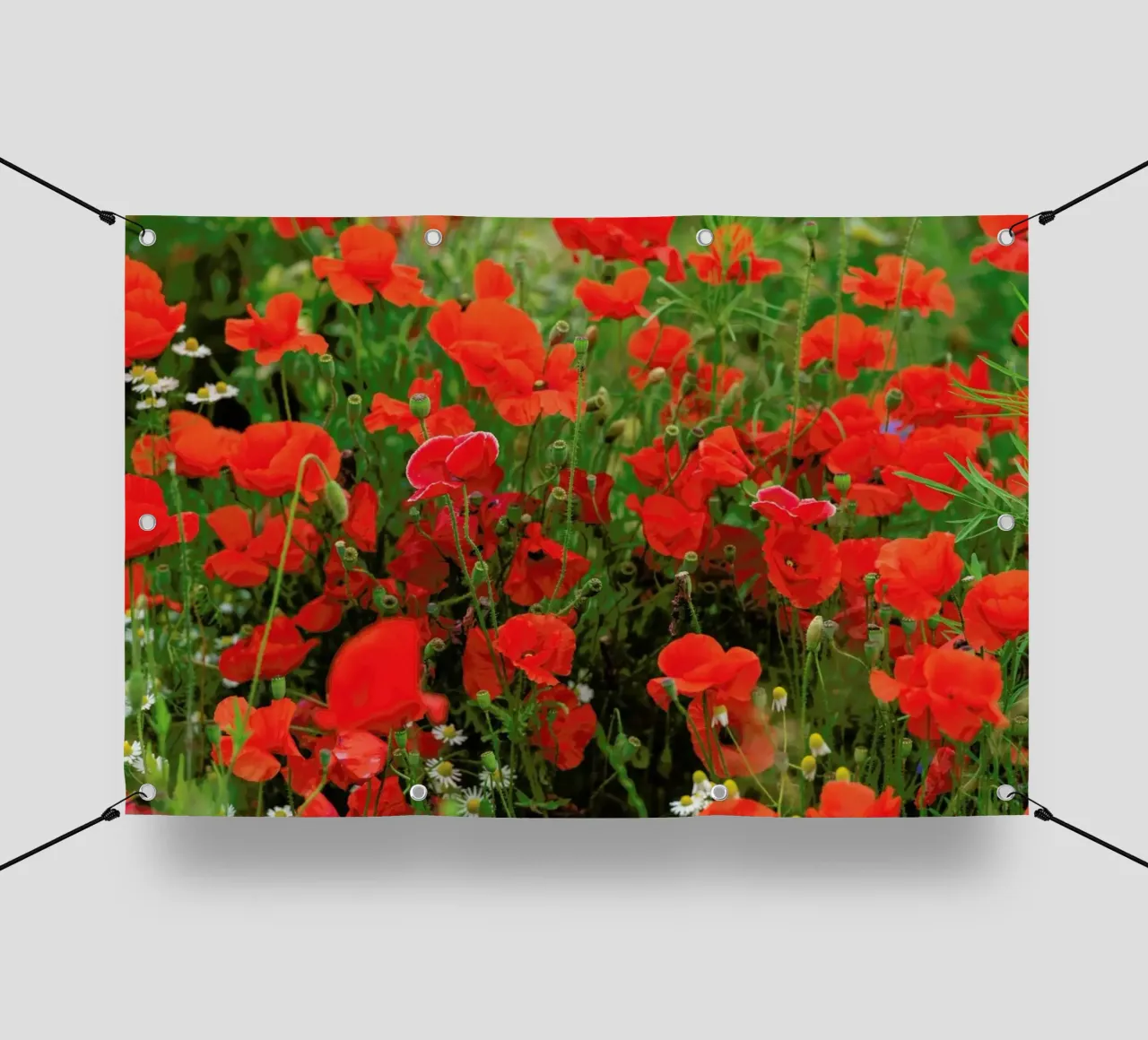 Red Poppyfield telo in pvc da Curious Collections by Marielle Leenders