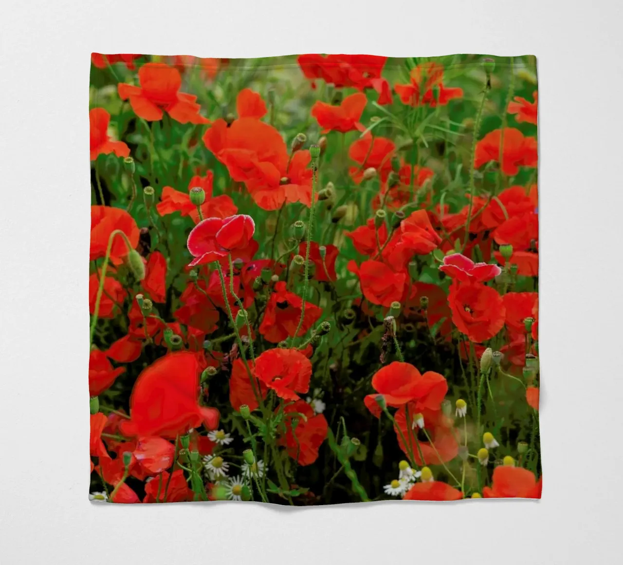 Red Poppyfield coperta in pile da Curious Collections by Marielle Leenders