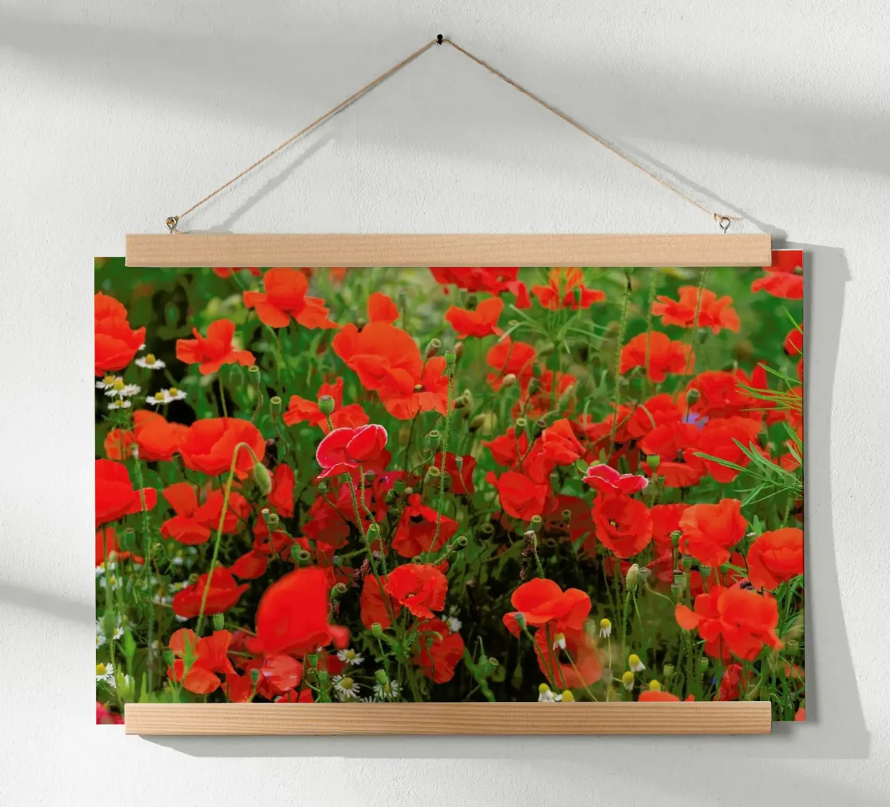 Red Poppyfield poster con telaio in alluminio da Curious Collections by Marielle Leenders