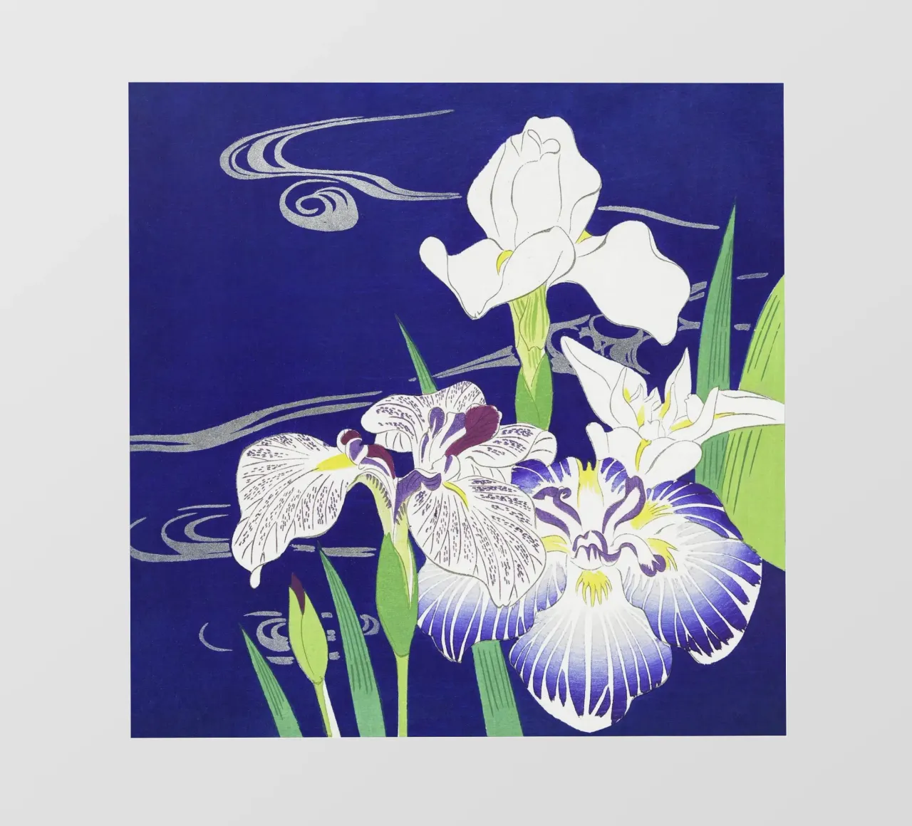 Iris di Kogyo Tsukioka (1890-1900) pellicola backlit da Venus Art