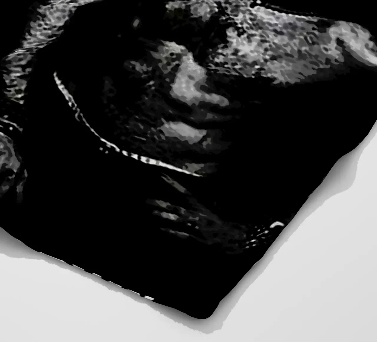 System of a Down coperta in pile da vanhesling