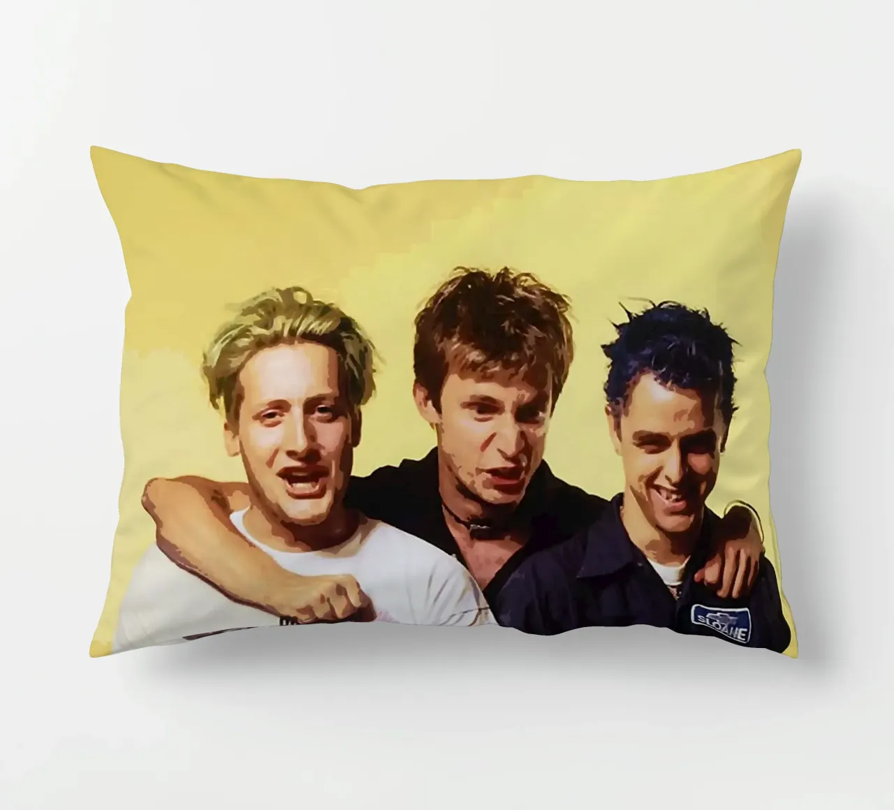 groupe green day coussin de vanhesling