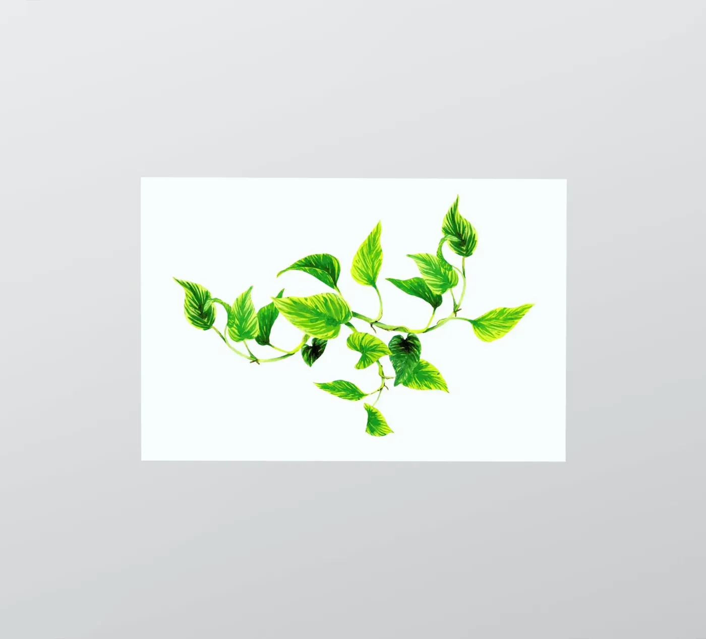 Efeutute sticker by youdesignme