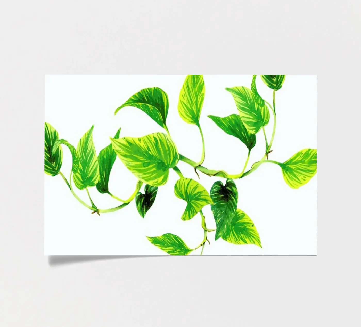 Efeutute sticker sheet by youdesignme