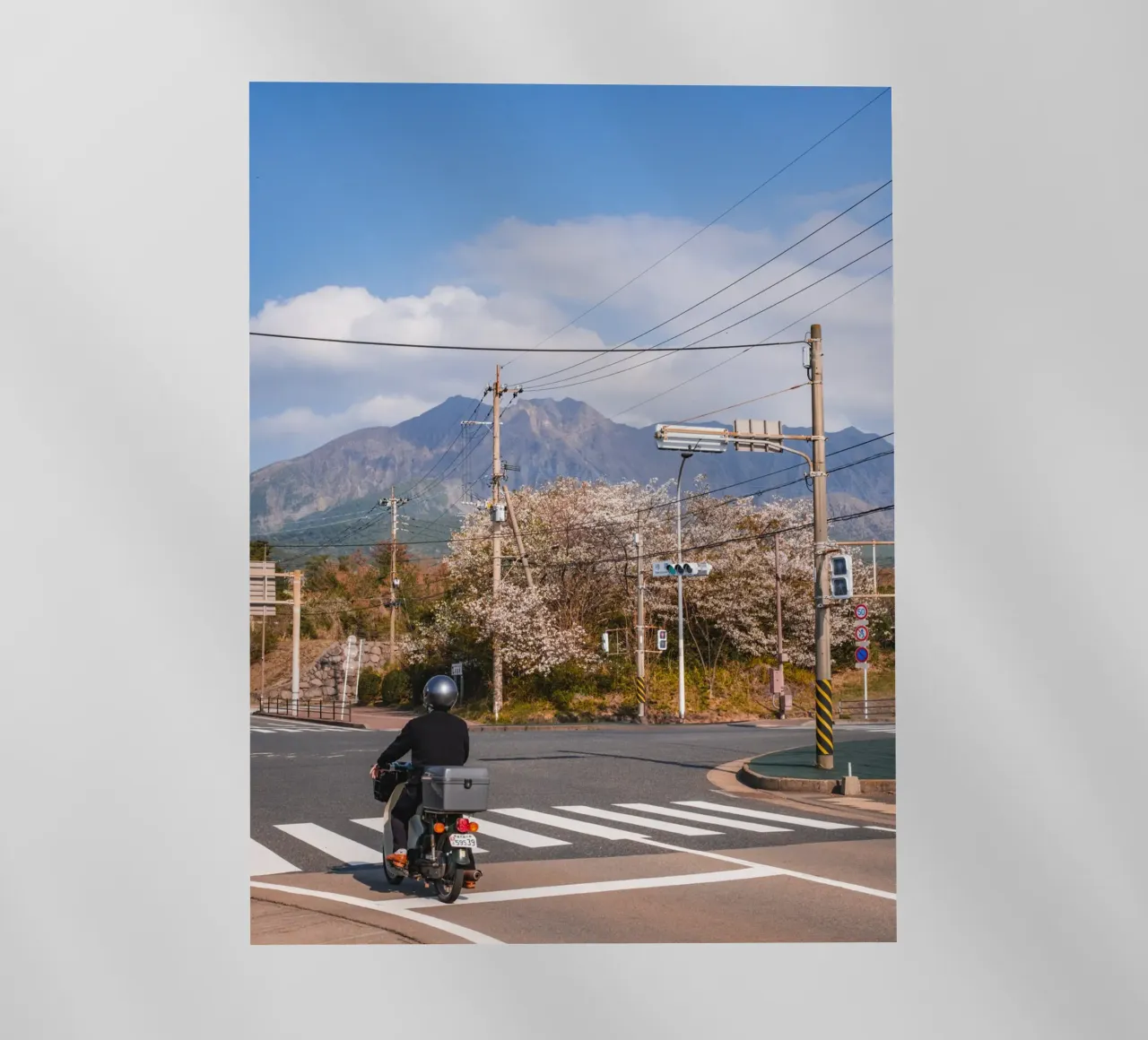 Scena di strada con fiori di ciliegio a Kagoshima, Giappone pellicola backlit da Marcel Bisig
