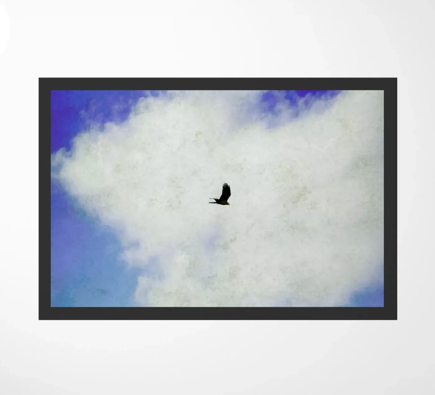 The Hawk deurmat van Angelo Cerantola