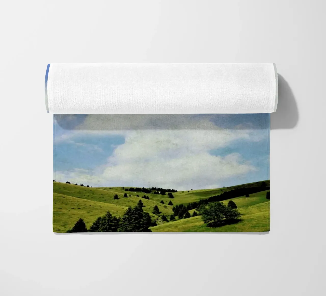 The Hawk telo mare da Angelo Cerantola