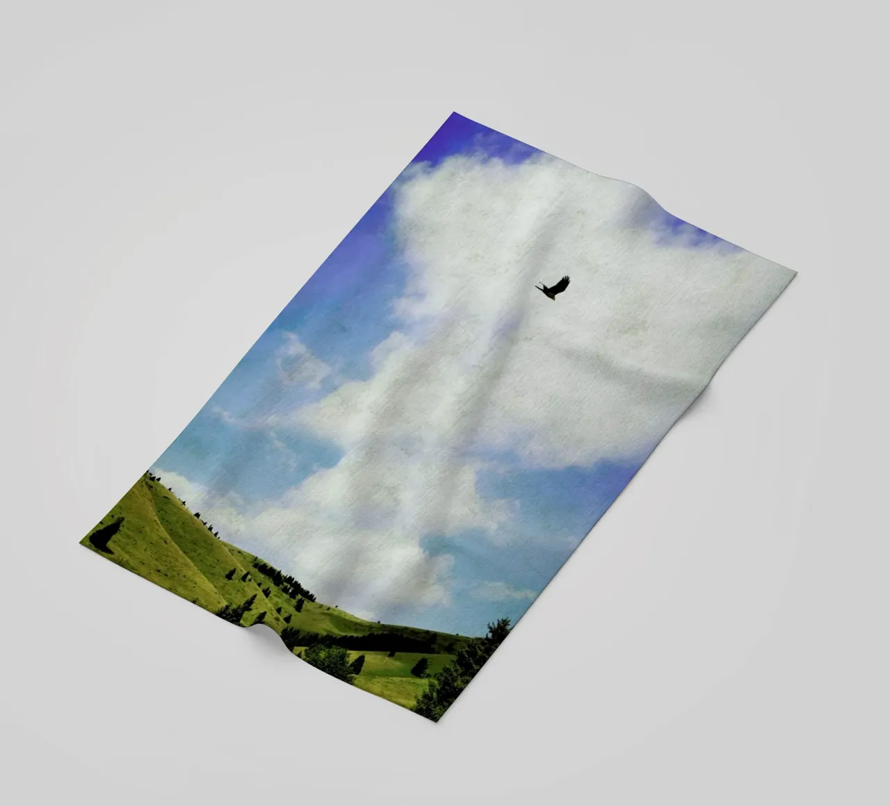 The Hawk telo mare da Angelo Cerantola