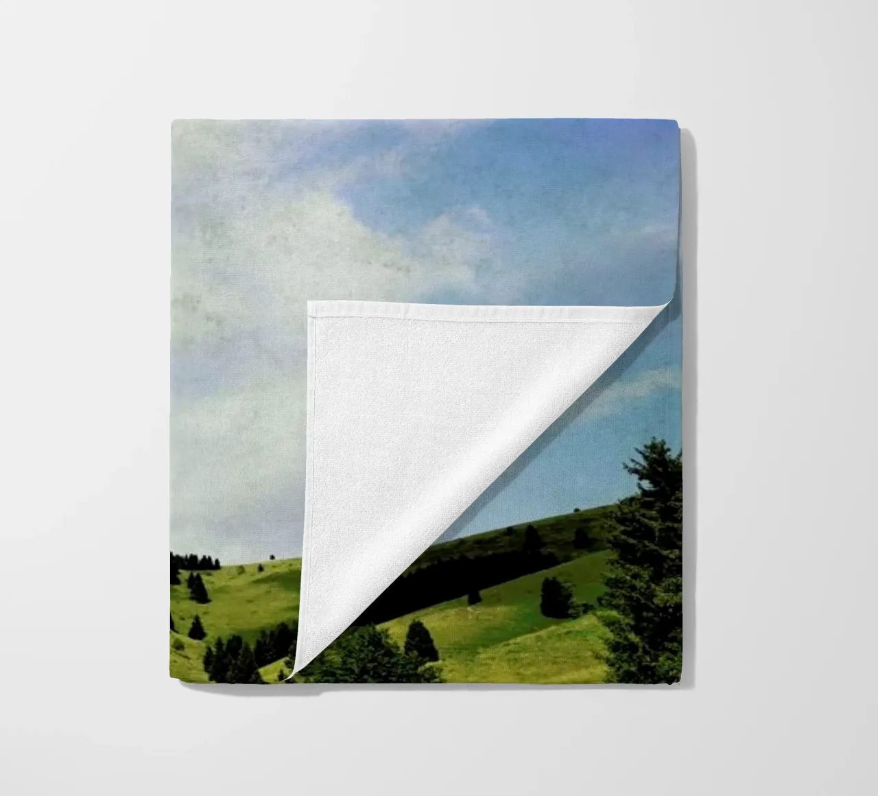 The Hawk telo mare da Angelo Cerantola