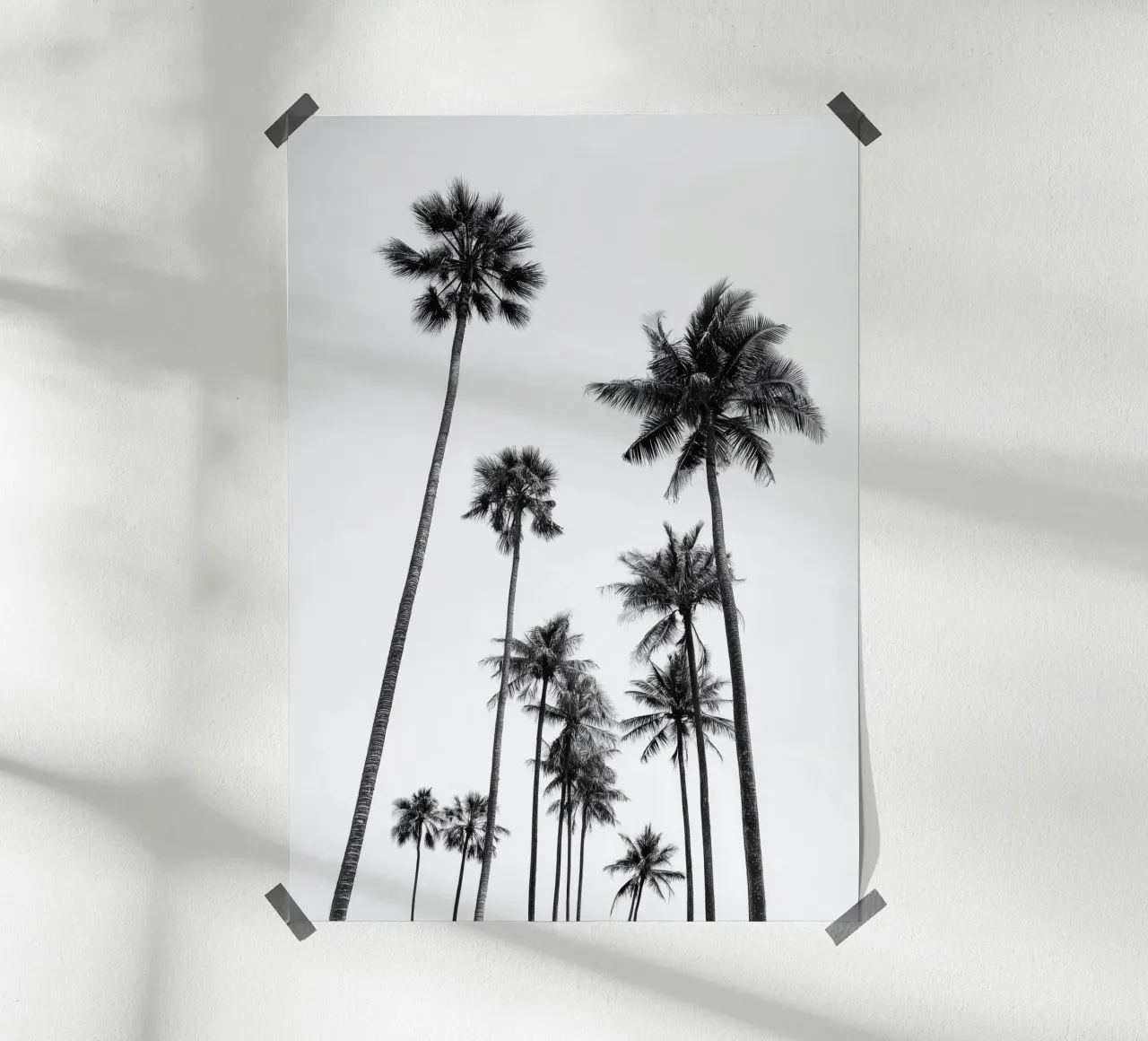 Tall Palm Trees - Black and White Tropical Art Poster poster con telaio in legno da Vela Luna