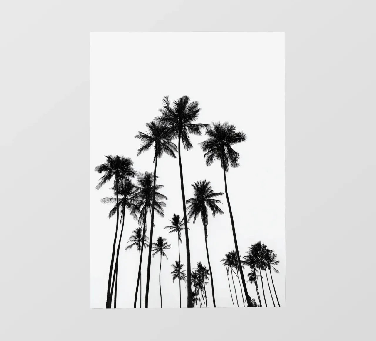 Minimal Palm Trees - Monochrome Coastal Wall Art Poster pellicola backlit da Vela Luna