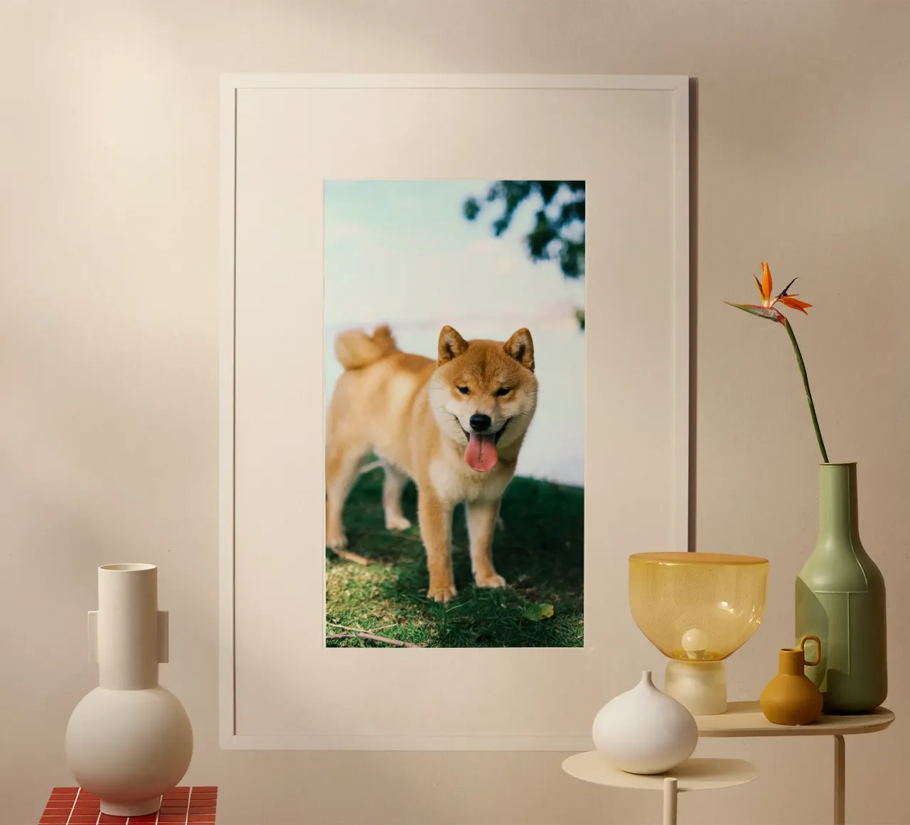 sorriso shiba inu poster da animal story home