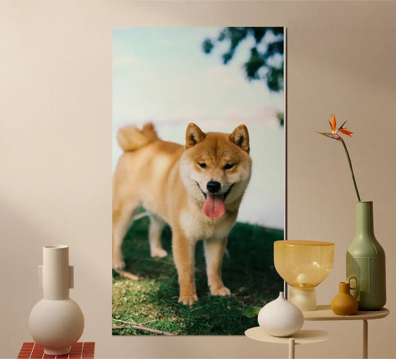 sorriso shiba inu poster da animal story home