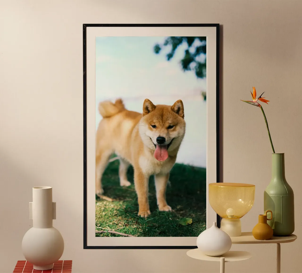 sorriso shiba inu poster da animal story home