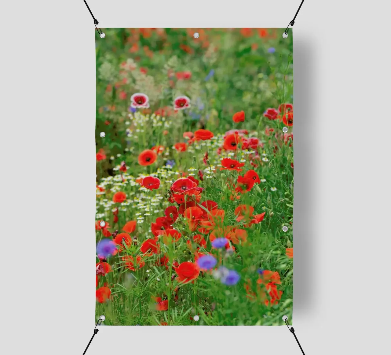 Mixed Poppies telo in pvc da Curious Collections by Marielle Leenders