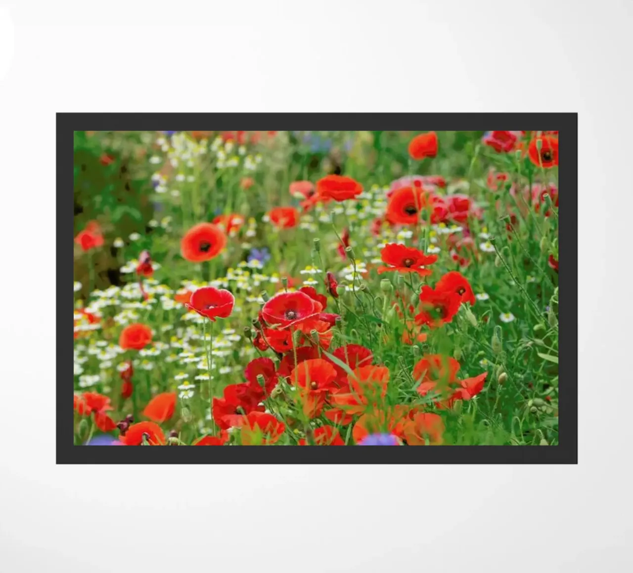Mixed Poppies zerbino da Curious Collections by Marielle Leenders