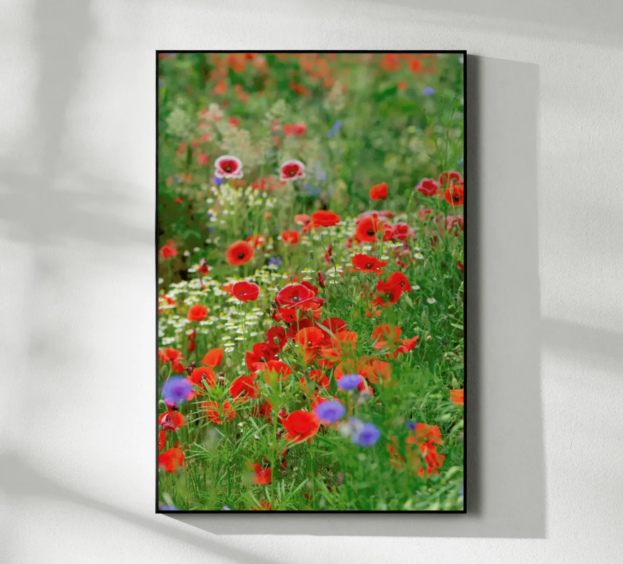 Mixed Poppies plexiglass da Curious Collections by Marielle Leenders