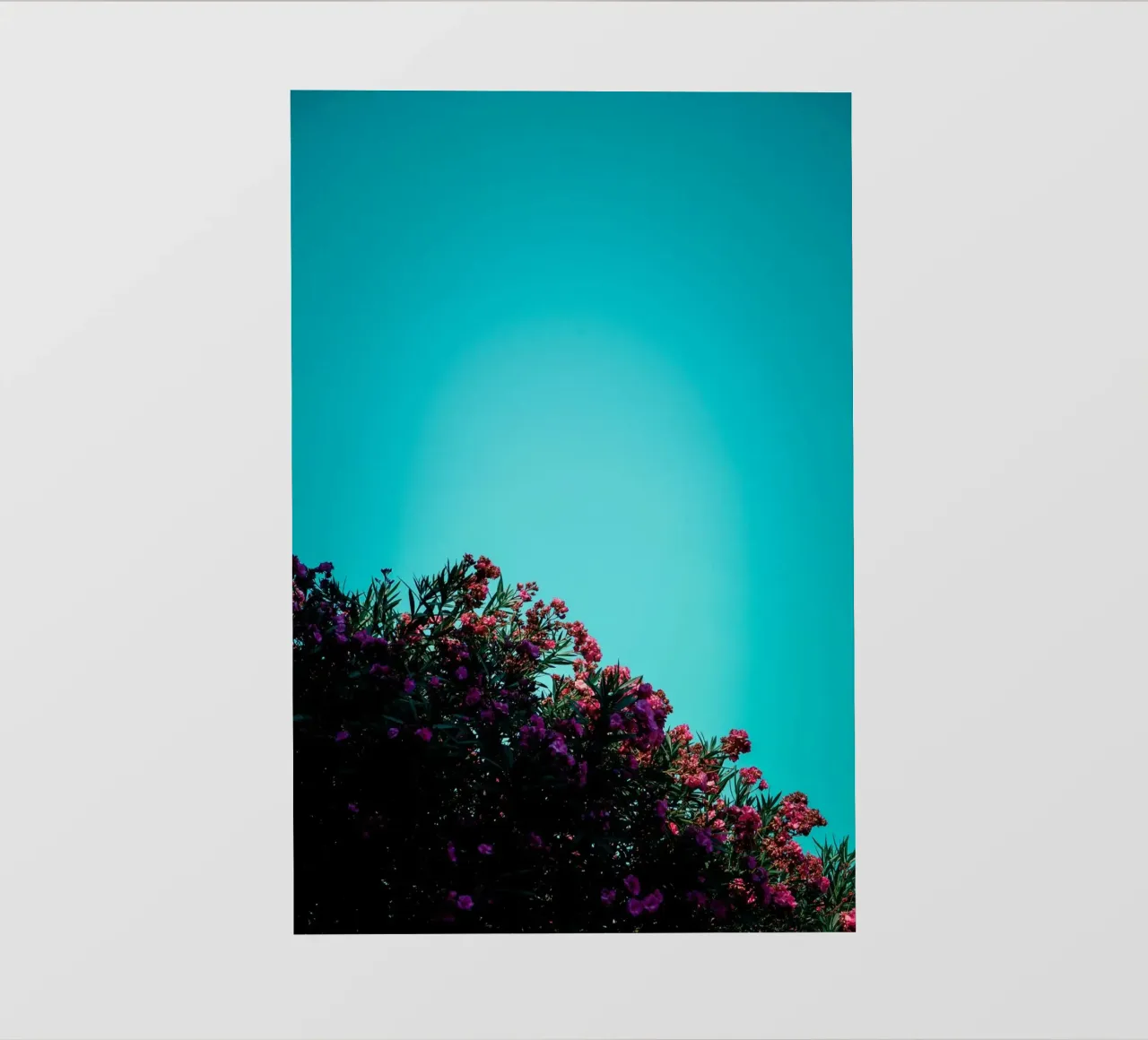 paesaggio fiori vibranti pellicola backlit da pastel color shape