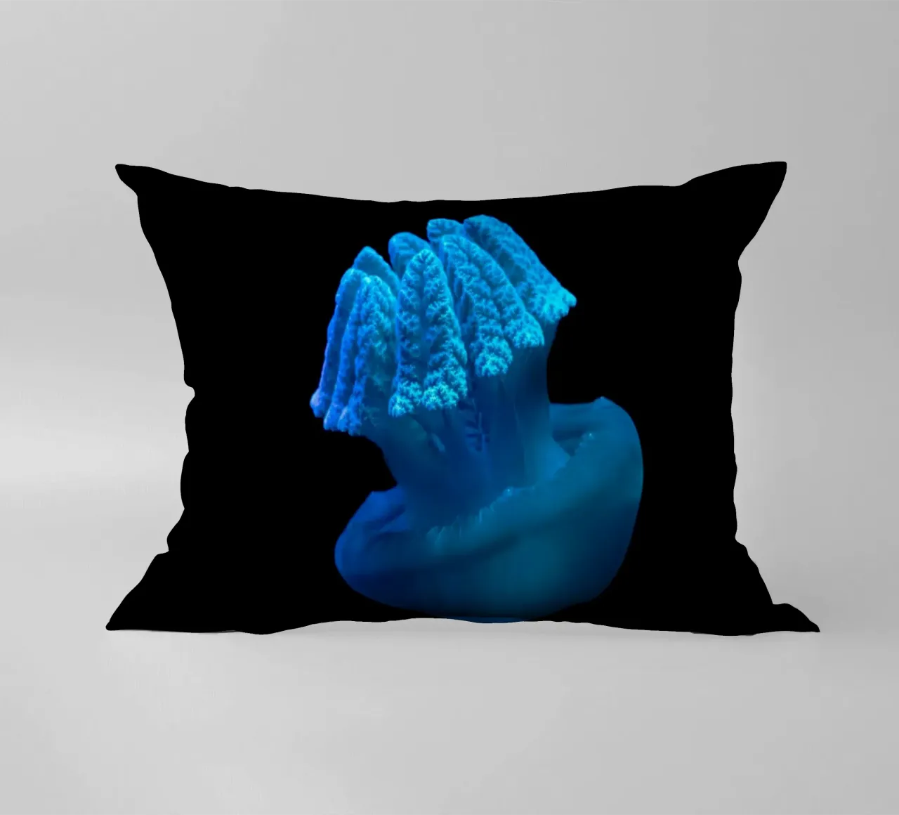medusa acqua cuscino da animal story home