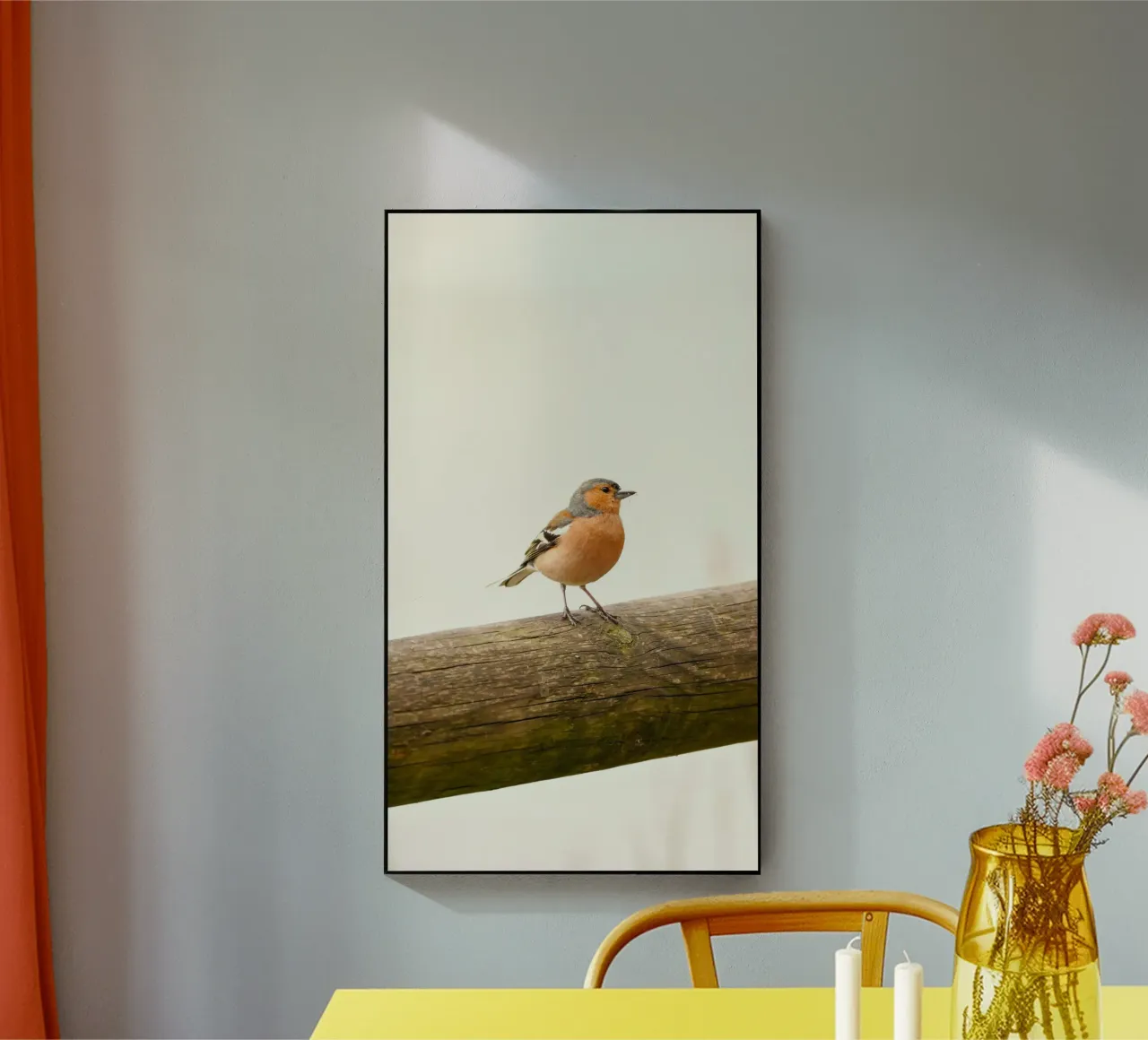 passero plexiglass da animal story home