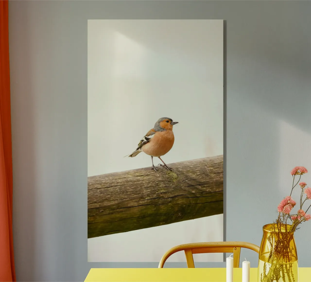 passero plexiglass da animal story home