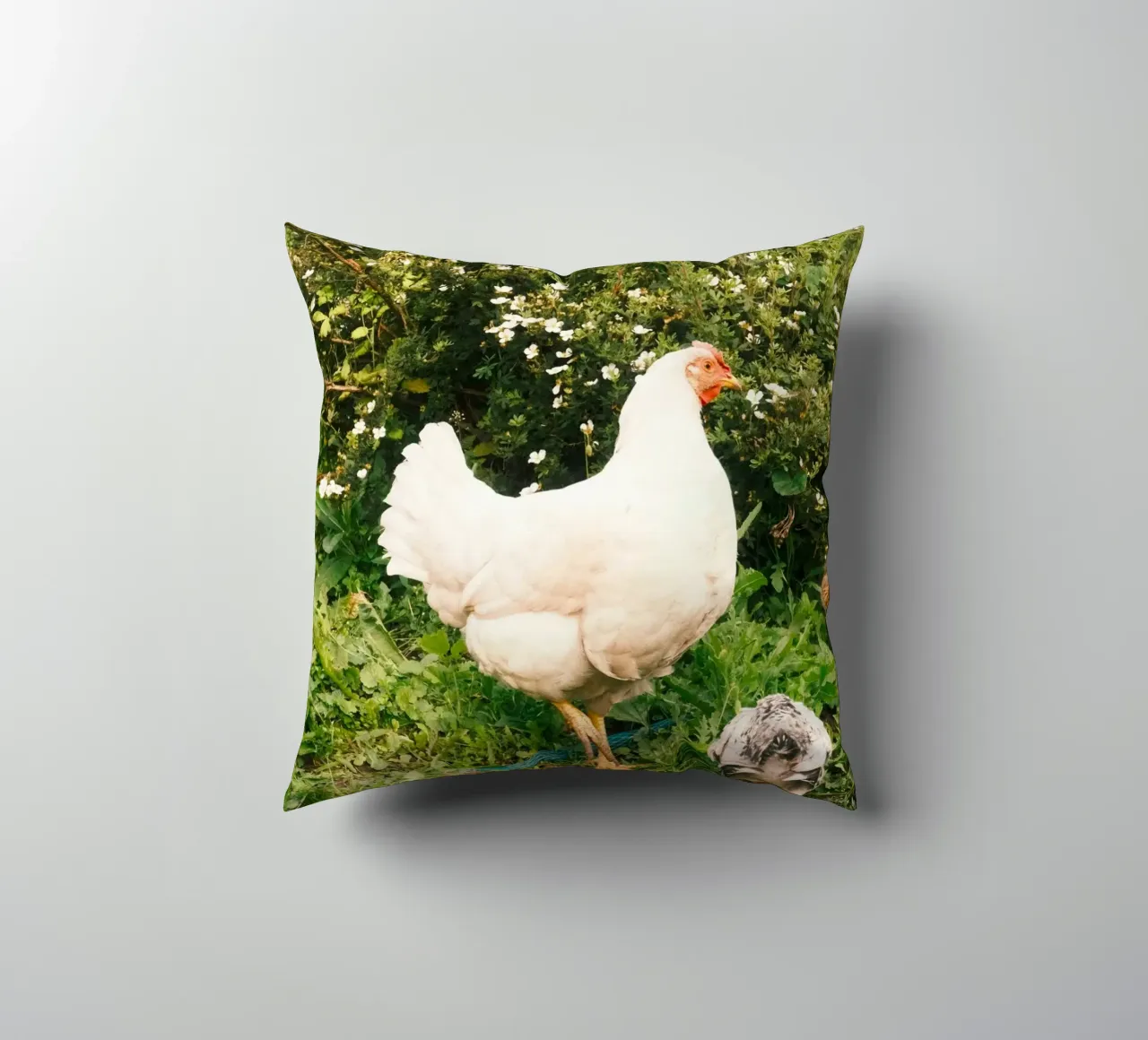 pollo verde cuscino da animal story home