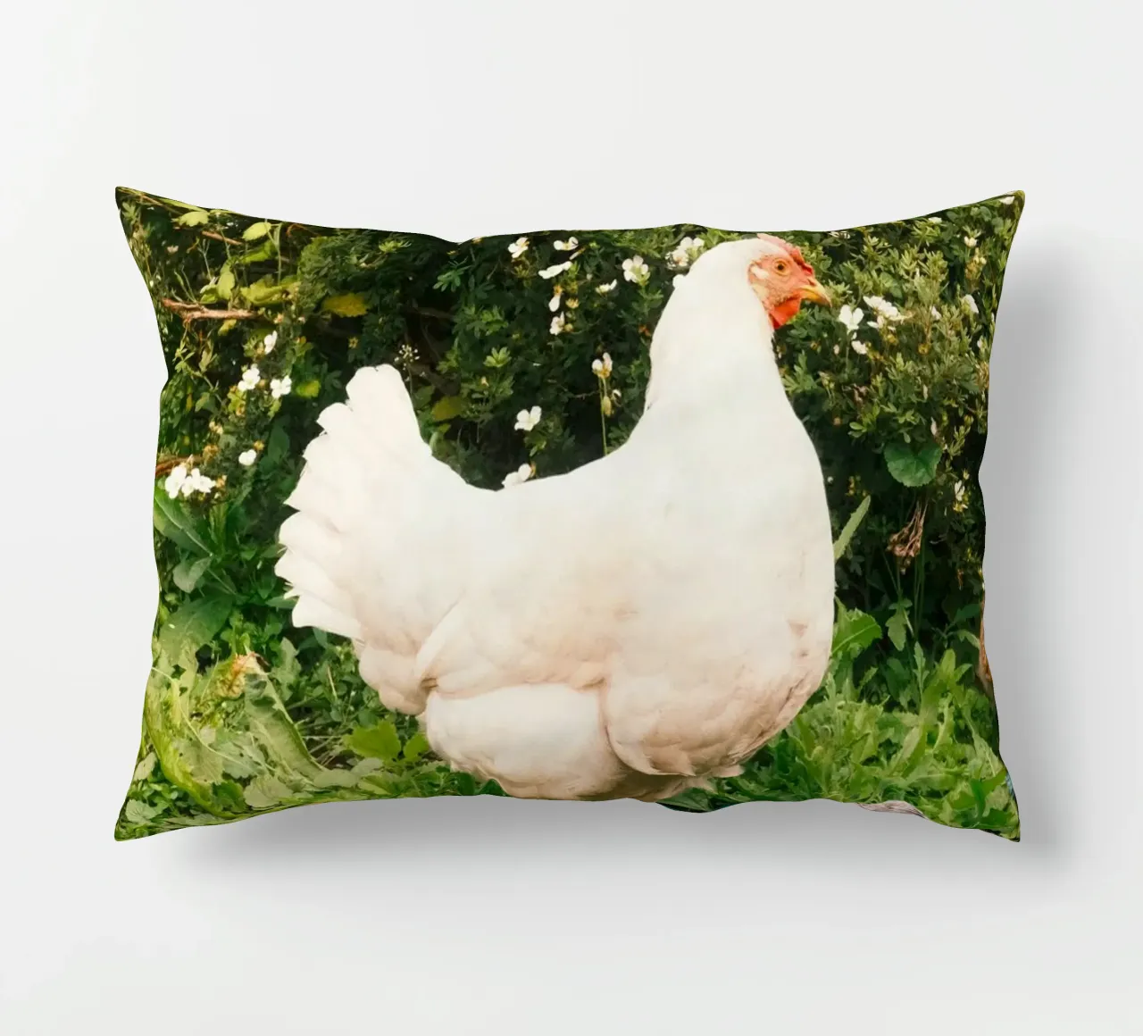 pollo verde cuscino da animal story home