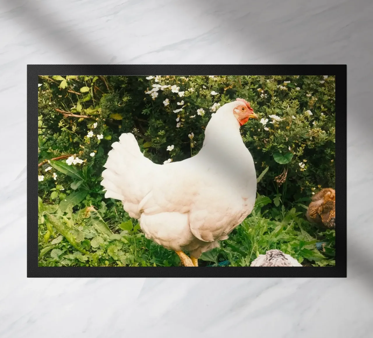 pollo verde zerbino da animal story home