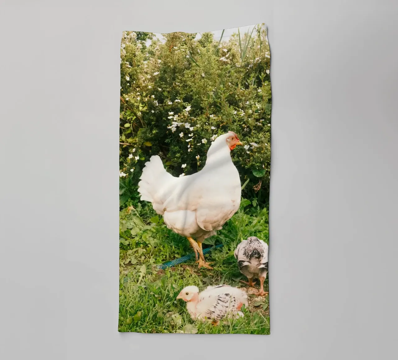 pollo verde asciugamano da bagno da animal story home