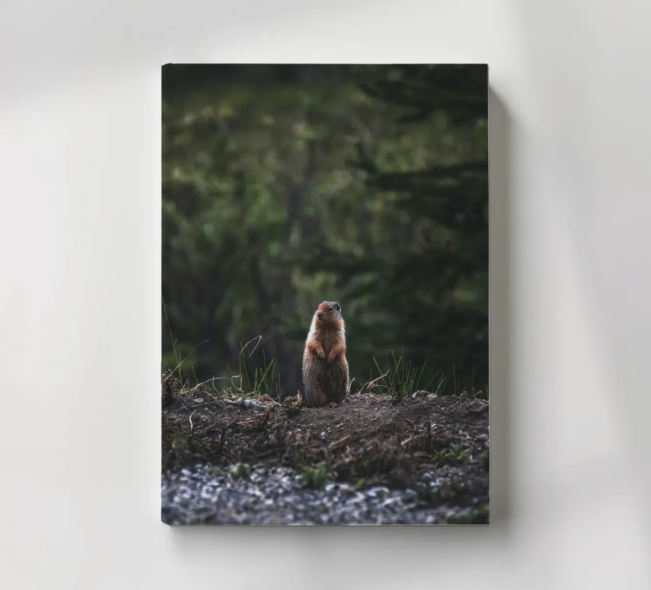 groundhog brush notebook by animal story home