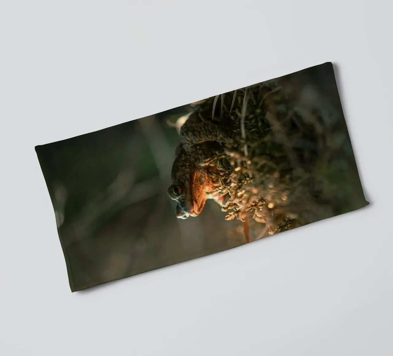 foliage frog towel by animal story home