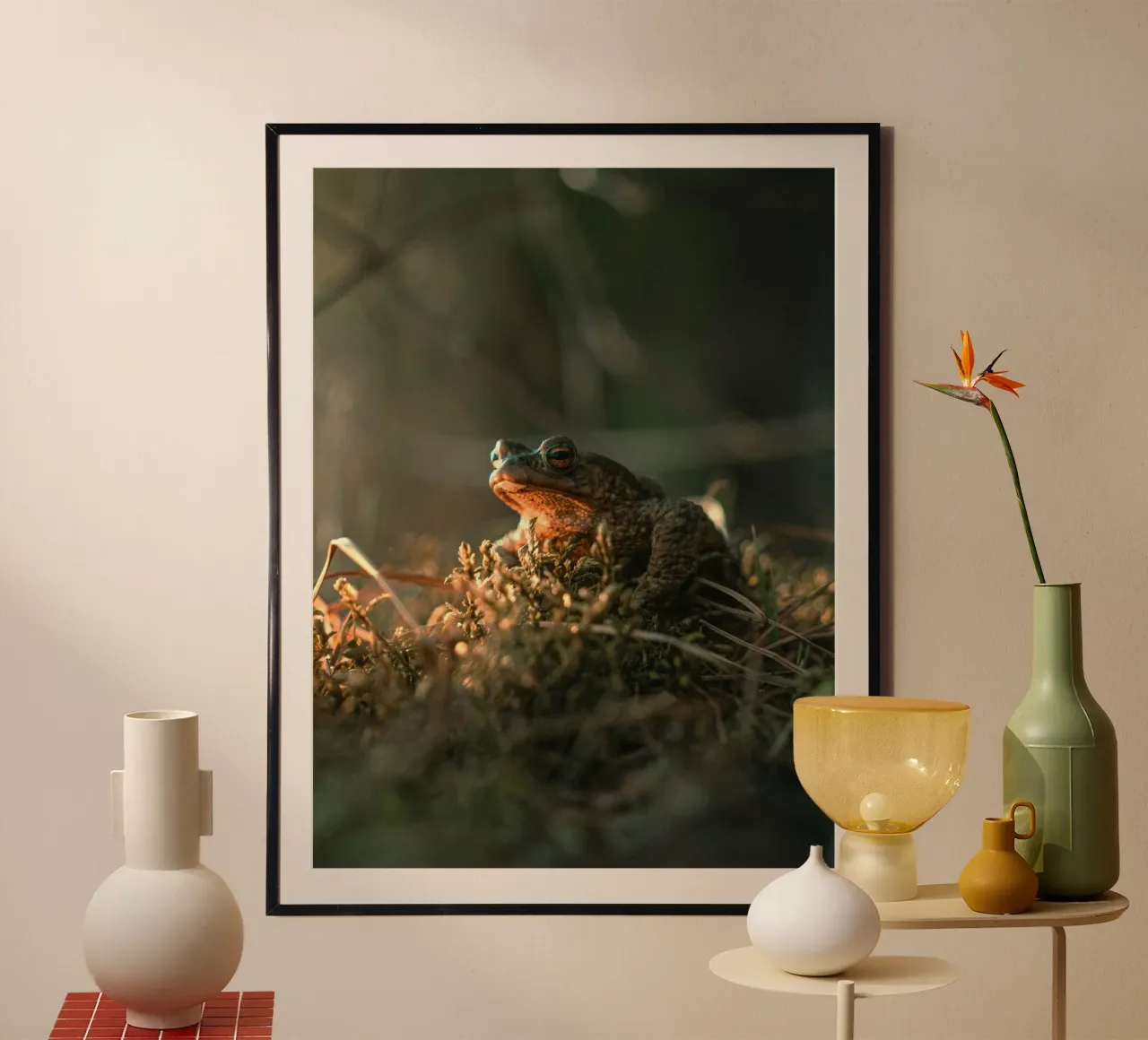 foliage frog hahnemühle by animal story home