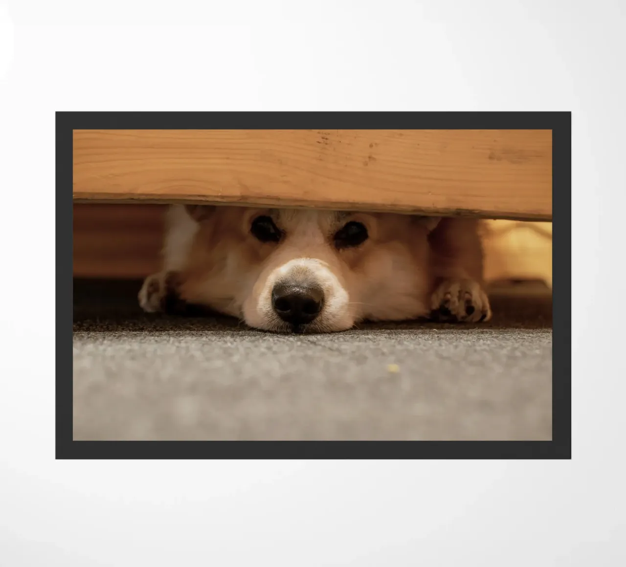 animale domestico corgi zerbino da animal story home