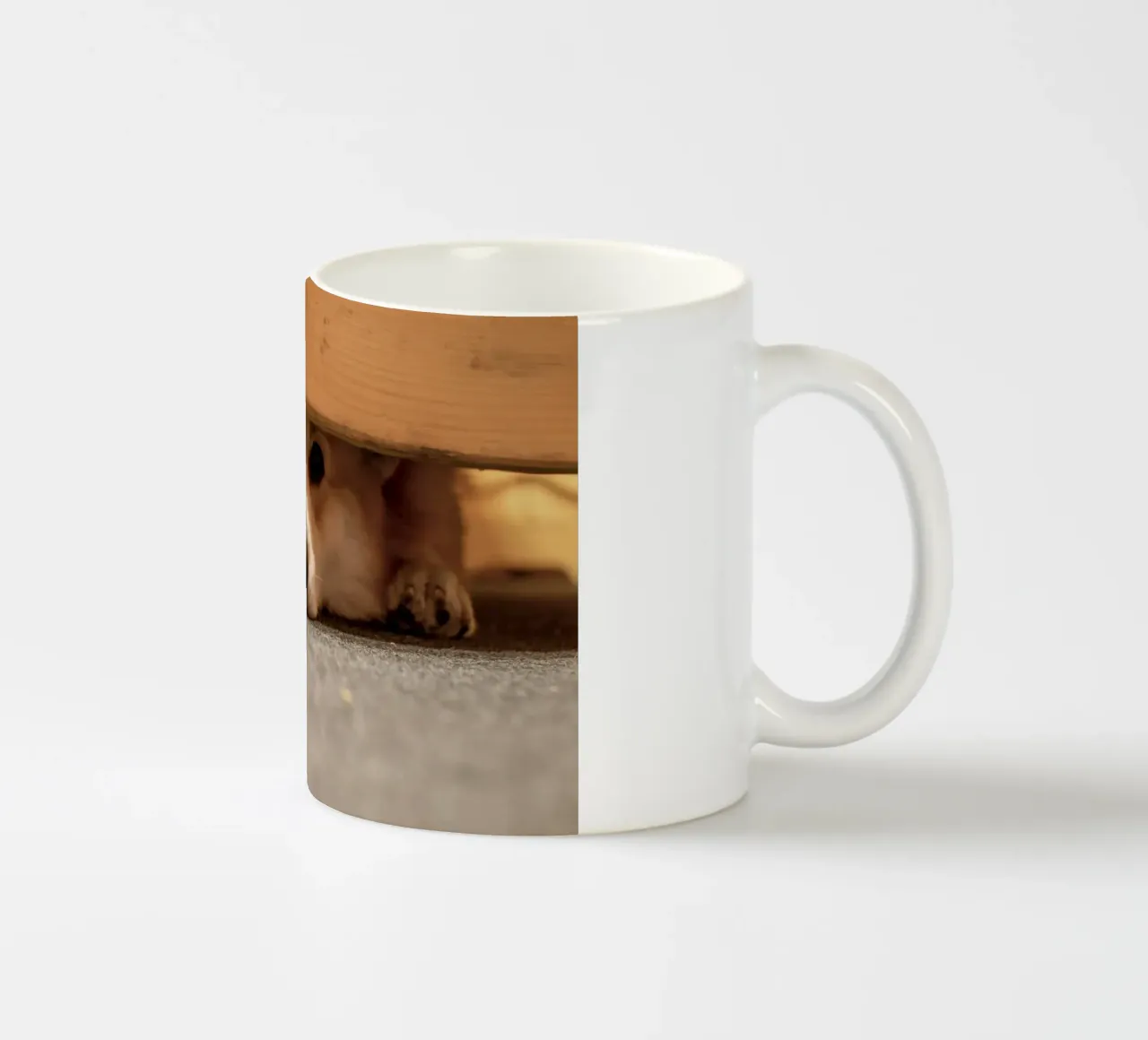 animale domestico corgi tazza in ceramica da animal story home