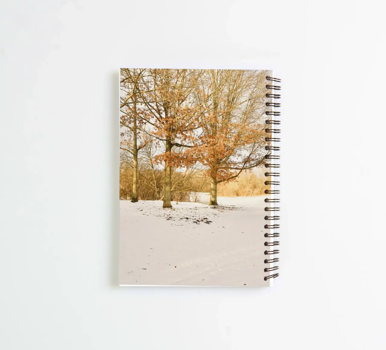 Trees on Sunny day after Snow spiral notebook by KISSA STUDIO