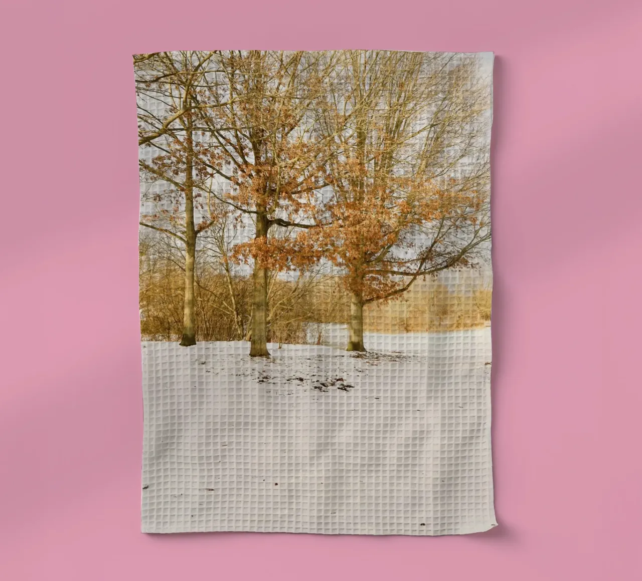 Alberi in una giornata di sole dopo la neve canovaccio da cucina da KISSA STUDIO